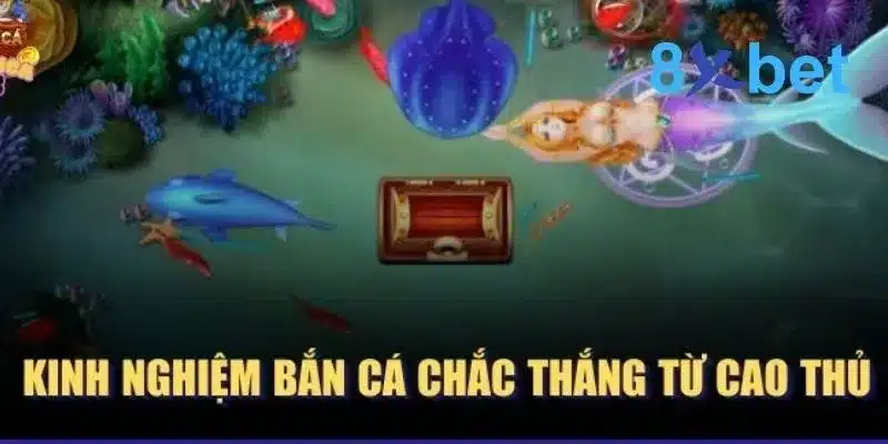 Bắn Cá Xèng - Trò Chơi Giải Trí Thú Vị Bậc Nhất Hiện Nay 4 Kinh nghiệm bắn cá giúp chơi game được hiệu quả
