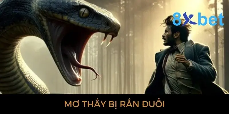 Giải mã giấc mơ thấy rắn: Bí ẩn và điềm báo gì? 3 Mơ thấy bị rắn đuổi