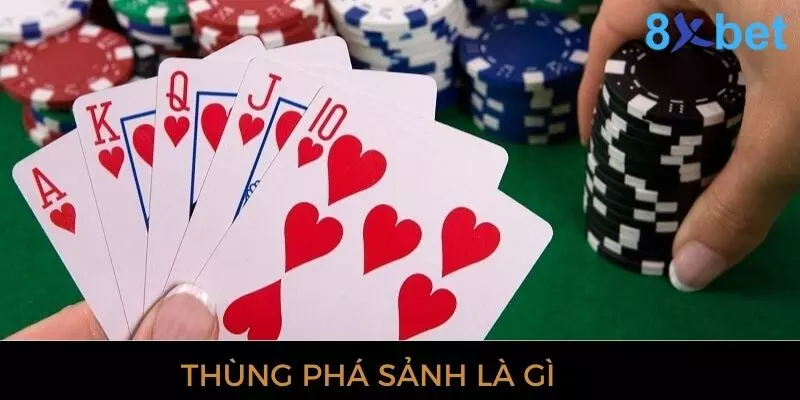 Thùng Phá Sảnh - Giải Mã Thuật Ngữ Trong Bài Mậu Binh 1 Tìm hiểu thùng phá sảnh trong game bài là gì