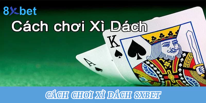 Tổng hợp cách chơi xì dách tại nhà cái 8xbet thắng lớn nhất 3 Cách chơi bài xì dách