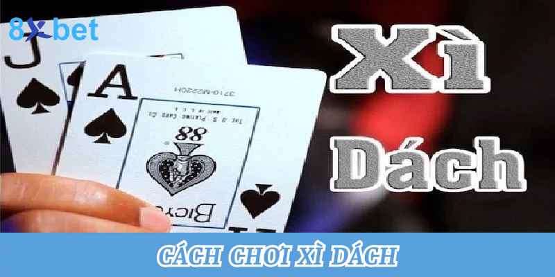Tổng hợp cách chơi xì dách tại nhà cái 8xbet thắng lớn nhất 1 cách chơi xì dách